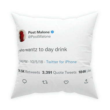 Who wants to day drink @postmalone Pillow
