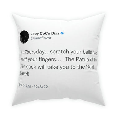 Scratch your balls @madflavor Joey Diaz Pillow